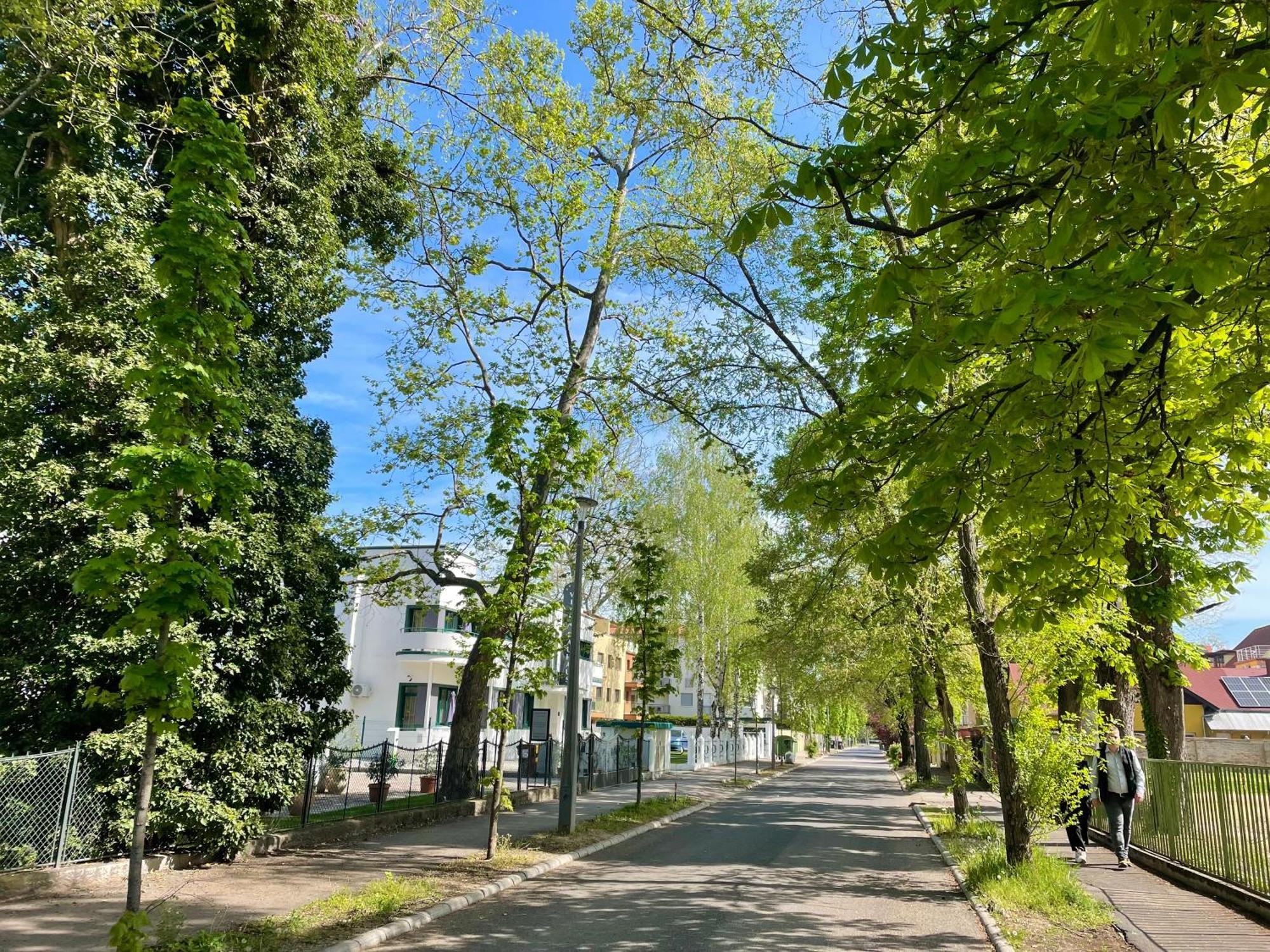 Republic5 Apartment Siófok Kültér fotó